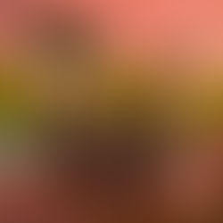 Pira Coletiva lança novo single "Redimunho", faixa faz parte do EP "Futuro Retrovisor"