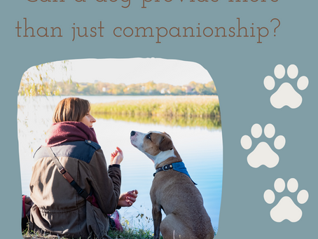 Can dogs provide more than just companionship?
