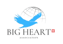 BIG HEART : aide humanitaire aux orphelins, organisation d’événements culturels et concerts, assistance administrative, jurid