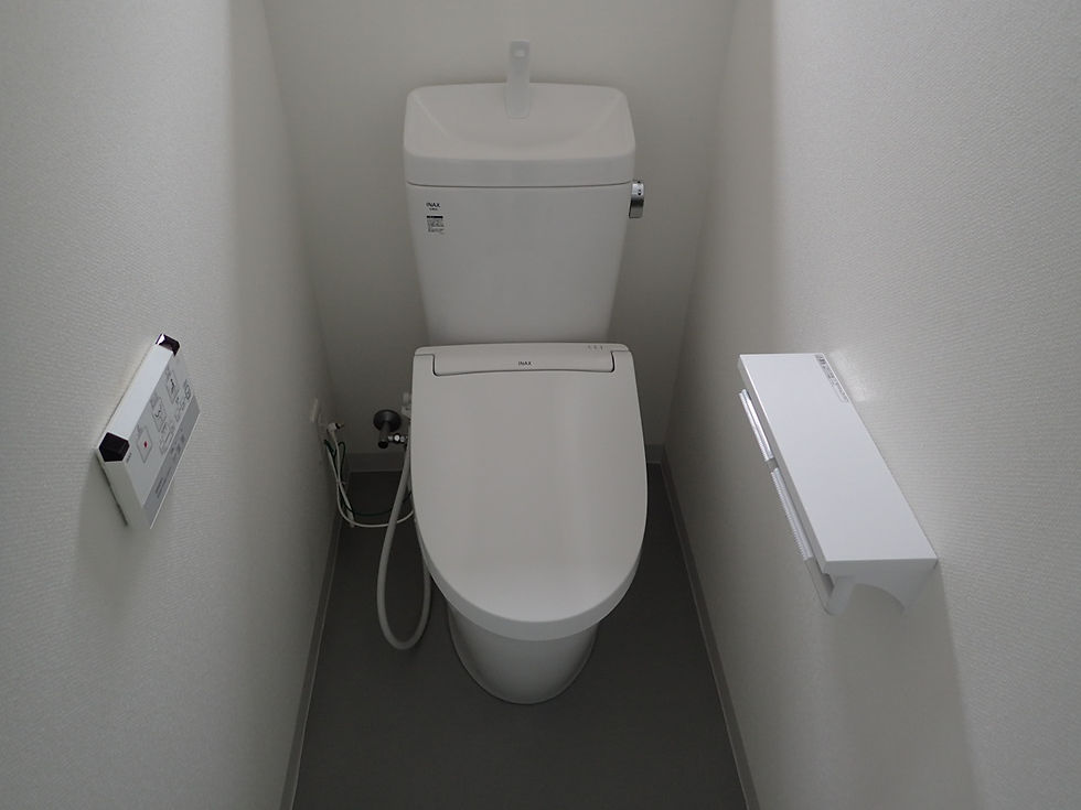 Z6210181.JPG