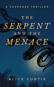 BOOK COVER 3 (2).png