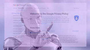 This AI will read Privacy Policy for you