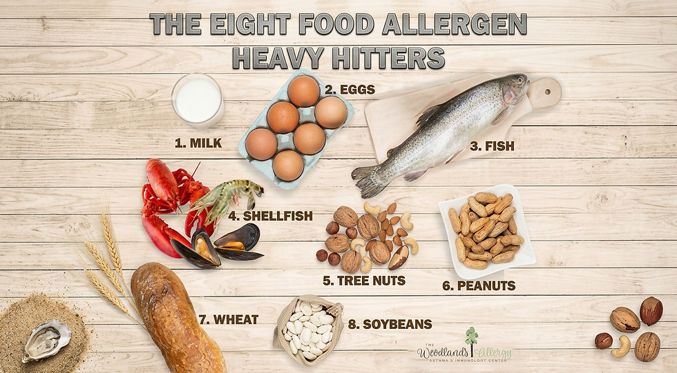 Allergy information infographic with symptoms and tips