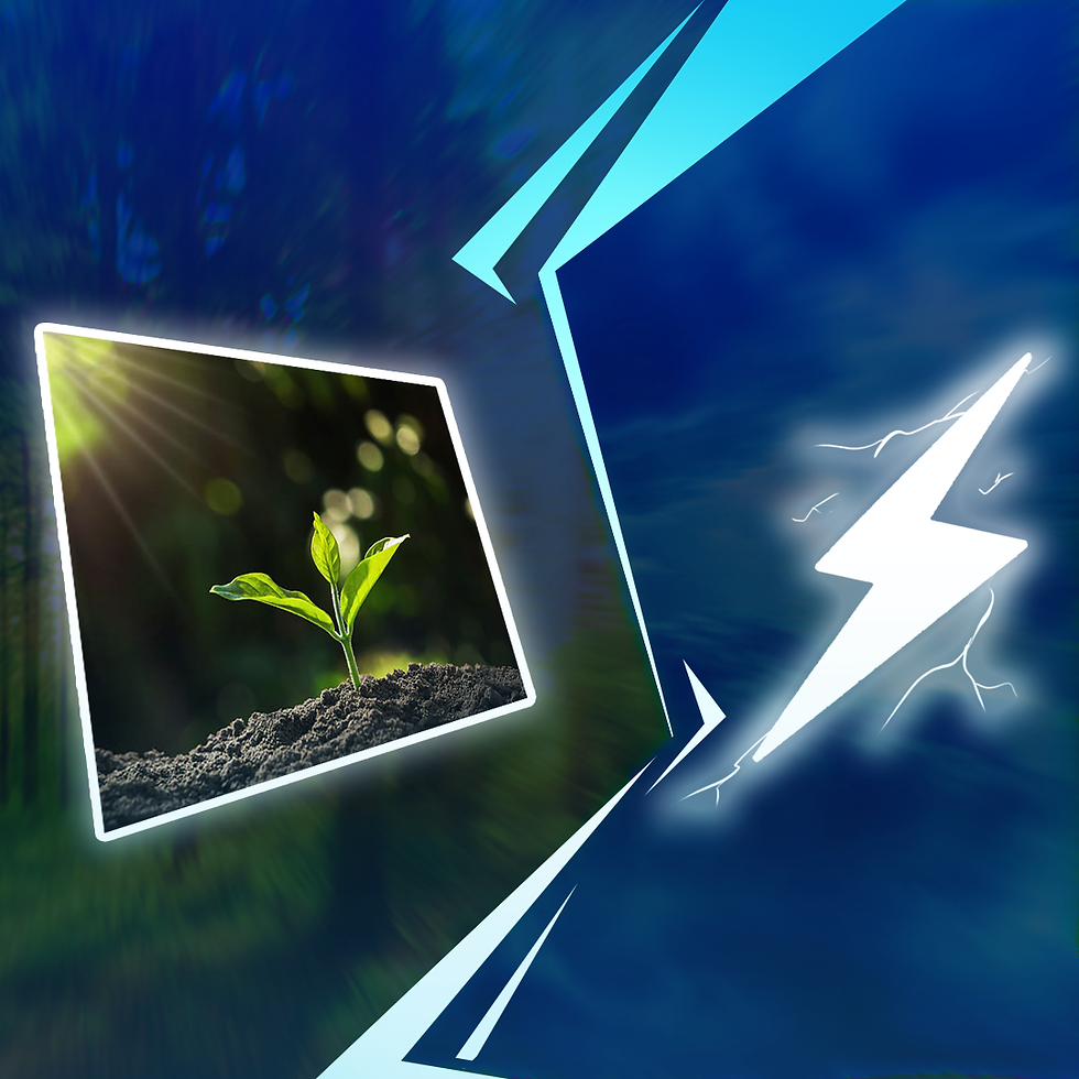 An image depicting a growth vs speed. Organic Marketing vs Paid Ads. Which is better?