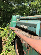 1949 Chevy Truck - Green Line Apothecary - Lineage Corporation