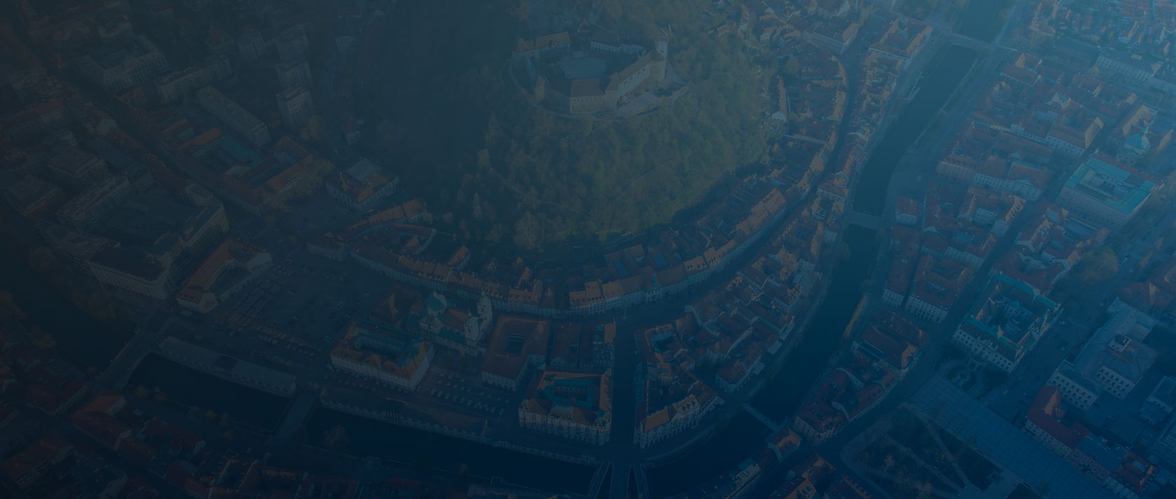 Ljubljana-bird-blue.jpg