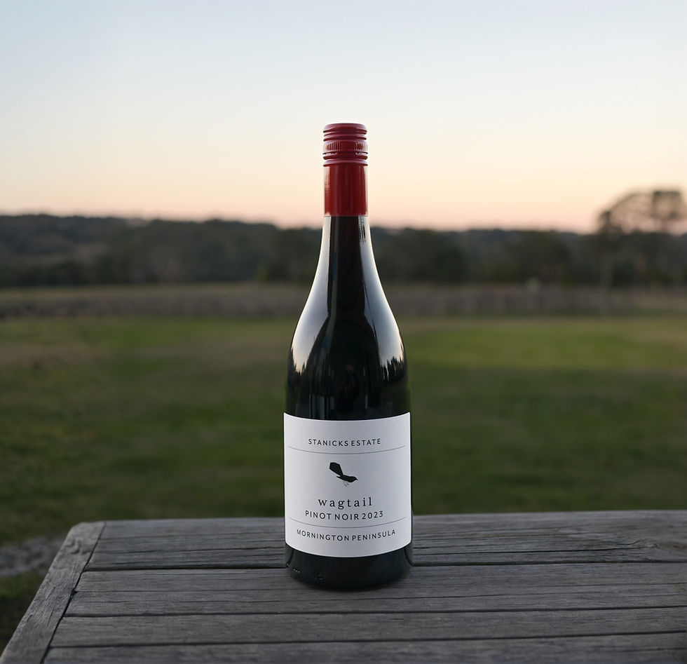 Pinot Noir 2023 'Wagtail'