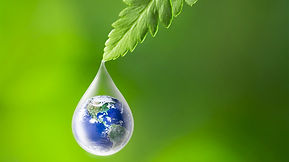 Contributions from Around the World