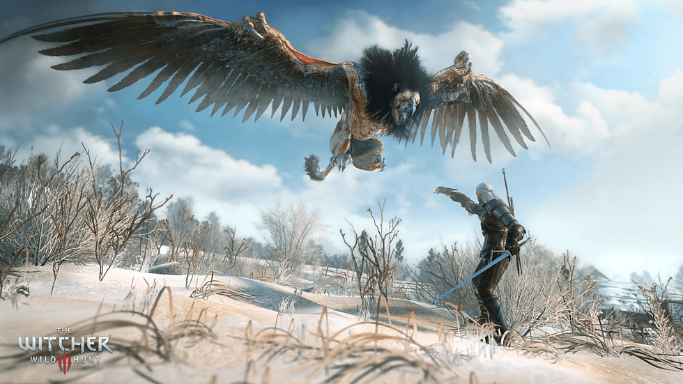 2676231-the_witcher_3-wild_hunt_various_types_of_enemies_require_different_appro