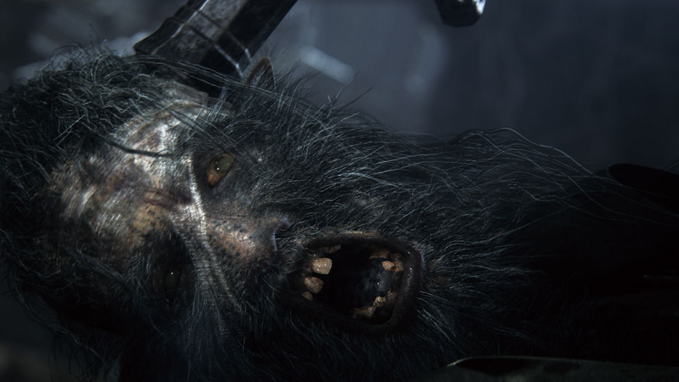 2556889-bloodborne_e3_09.jpg