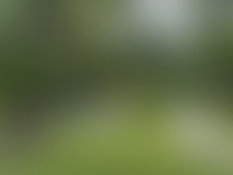Gobierno dominicano inaugura parque ambiental Cristo Park