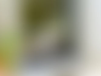 ¿IA para mascotas? Acá no hay gato encerrado