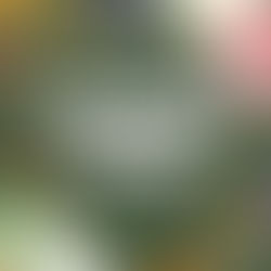 ¡Bienvenidos a un Nuevo Año Escolar!