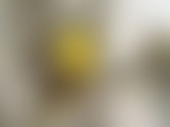 Prevence proti ucpání dřezu