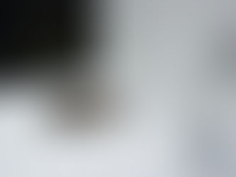 Domácí mazlíčci a ucpané odpady