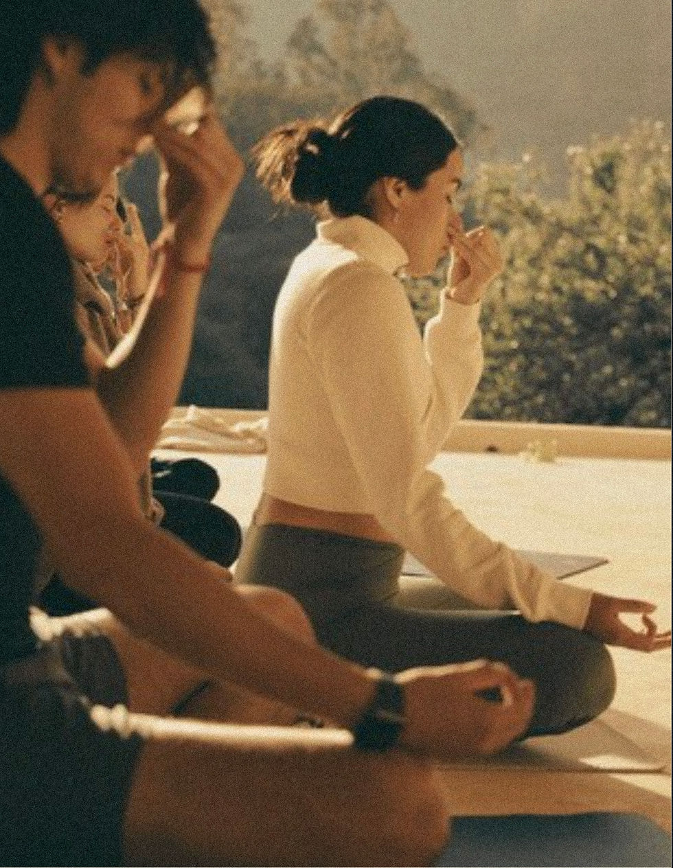 breathworkbienvenidanoise.jpg