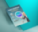 Mockup gratis Canva voor gevorderden webinar (3).png