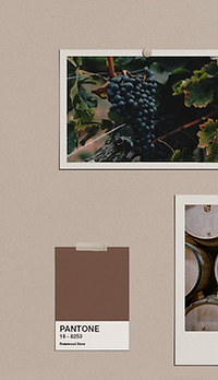 Mood board 1.png