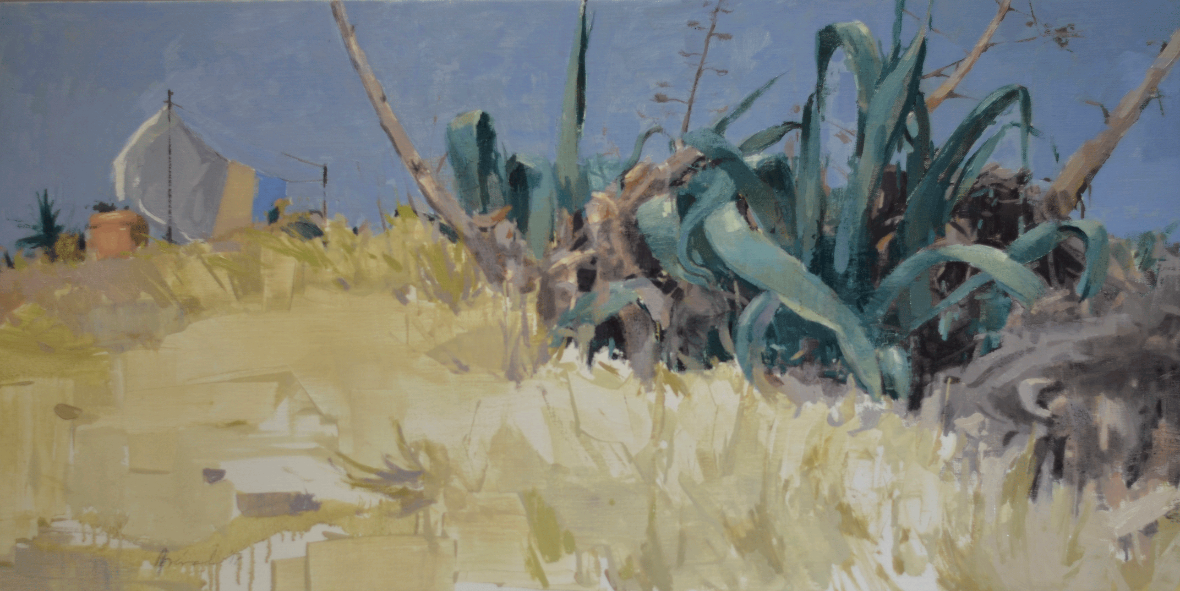 South wind