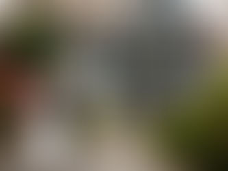 Hillbark Hotel Wedding Photographs | Debbie & Rupert