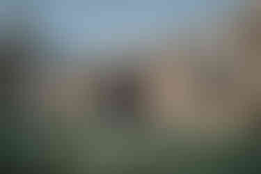 engagement photograph at abbey