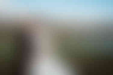 bride and groom by river with ducks