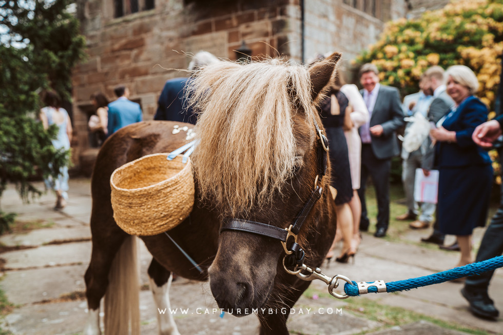 Pony at church wedding