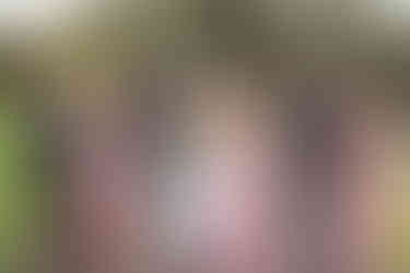 bride and groom with bridesmaids and best men