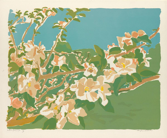 Apple Blossoms III