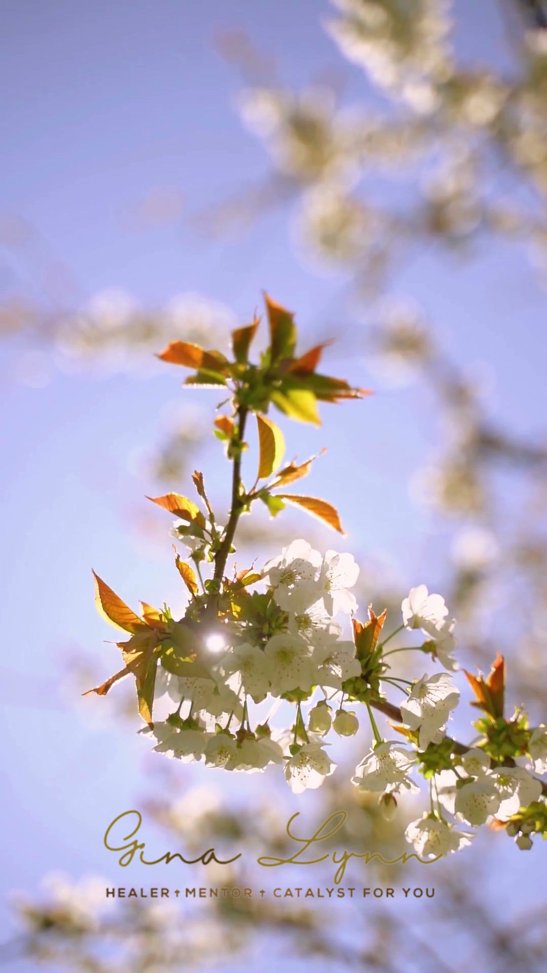 Reflection - November 7th, 2025