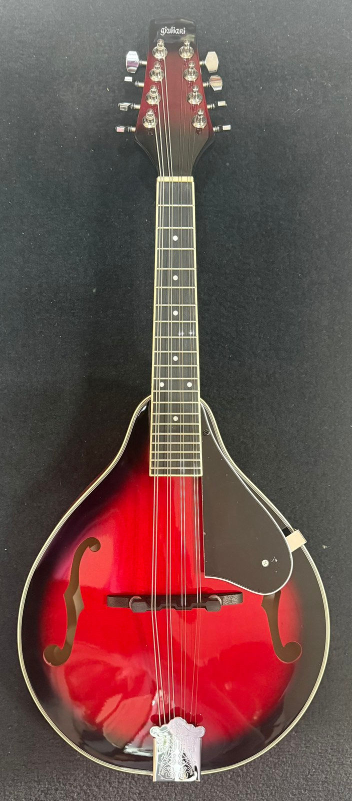 GIULIANI MANDOLIN
