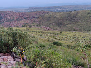aatengk, huzirua / k̅α-dl-α̅’-k‘αy-iн  / nahachagii / Horse Lubber Grasshopper (sources: Eastern Shoshone Working Dictionary, Vocabulary of the Kiowa Language, Navajo-English Dictionary 1958), land of the Ndé Kónitsąąíí Gokíyaa (Lipan Apache), Naa'dahéńdé (Mescalero Apache), Jumanos, Tiwa (Tigua), Kiowa, Nʉmʉnʉʉ (Comanche), Otomoaco, photo C. Artuso