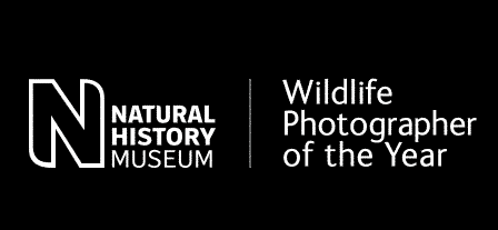Wildlife-Photographer-of-the-Year.gif