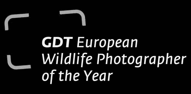 GDT.gif