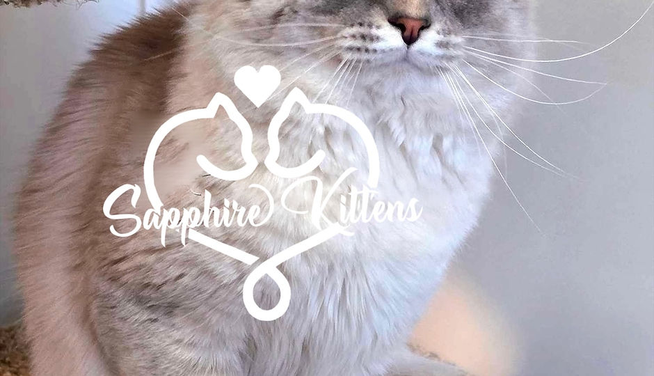 eZy Watermark_09-12-2025_08-23-28-9600PM.jpeg