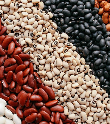 tipos-de-feijao-1549036437289_v2_1254x83