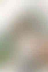 Alden Grove Wedding Venue in Lowell Michigan