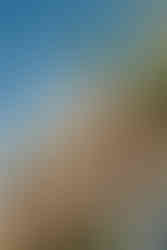 Alden Grove Wedding Venue in Lowell Michigan