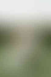 Bride and Groom at Alden Grove Alden Grove in Lowell Michigan