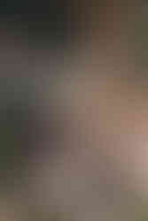 Alden Grove Wedding Venue in Lowell Michigan