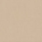 Atlantex Asc Dark Beige