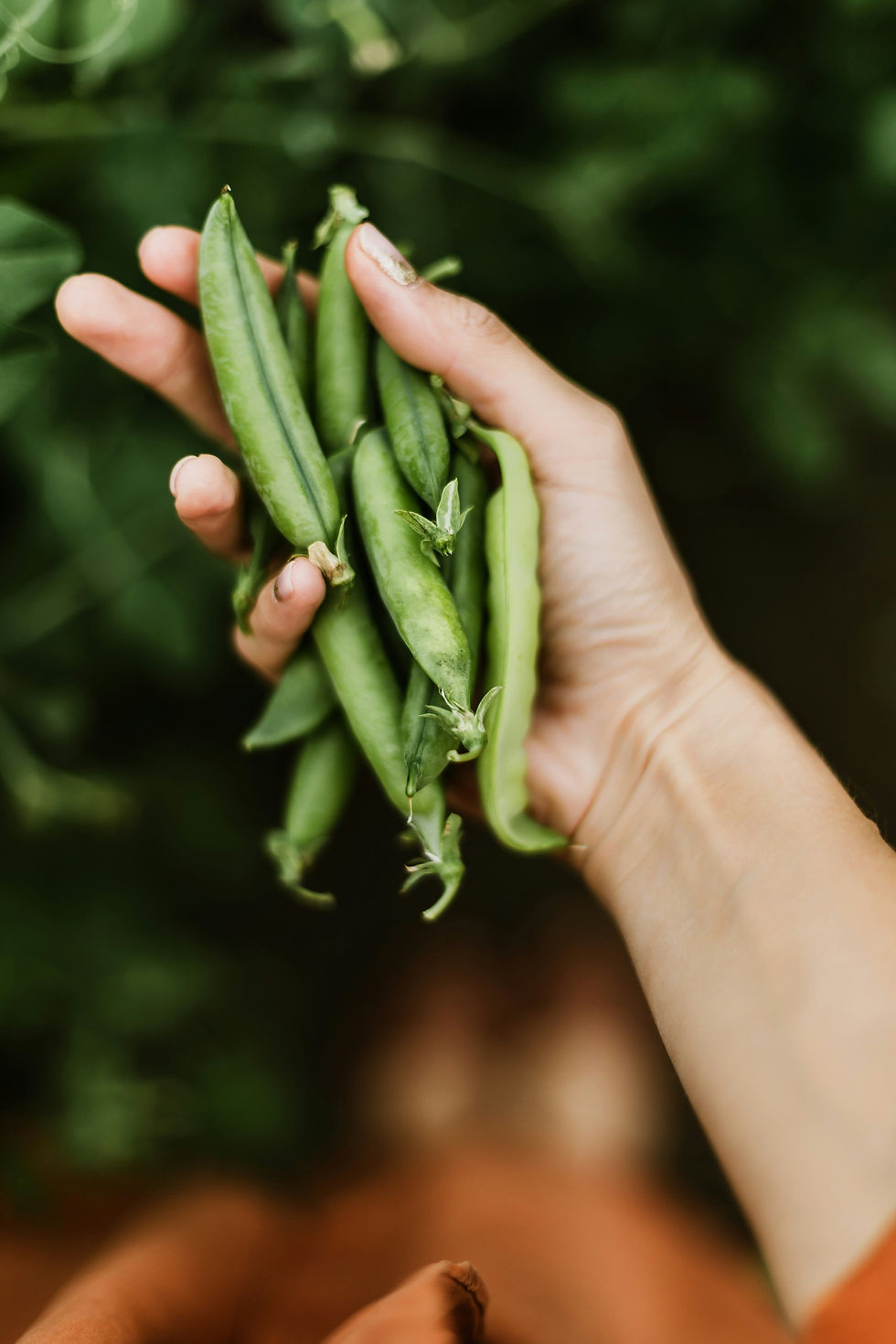Danielle Christine · Boise, Idaho · Culinagraphy · Editorial Food Content, Food Styling, Recipe Creation · Boise, Idaho
