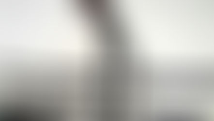 Top 10: Lesser Known Facts About the Iconic Stahl House in Los Angeles