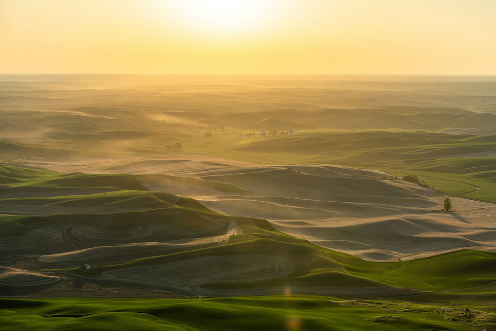 The History of Mid-Century Gems: About Us, Editorial Standards, and Community Guidelines