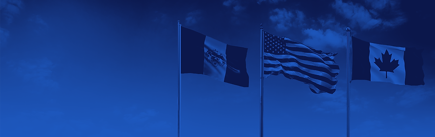 3 flag-alone.png