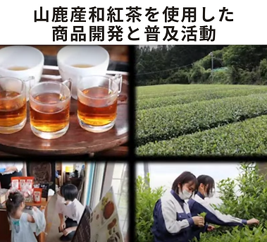 山鹿産和紅茶を使用した商品開発と普及活動.png