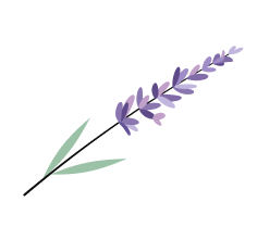 an illustration of a sprig of lavender