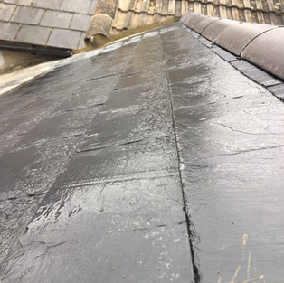 Tonbridge Defender gutting repair