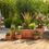 Thumbnail: Gardena Microdrip Starter Set Flower Pot M-Size (G13002)