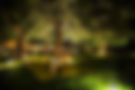 allure-yala (10).png